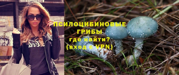 Альфа ПВП Алексеевка