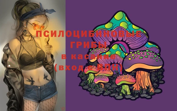 Альфа ПВП Алексеевка
