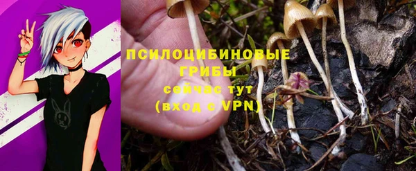 дурь Алзамай