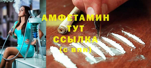 мет Няндома