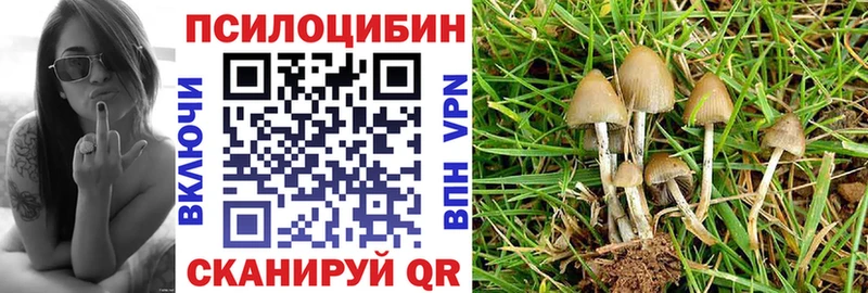 Псилоцибиновые грибы Magic Shrooms  Хотьково 
