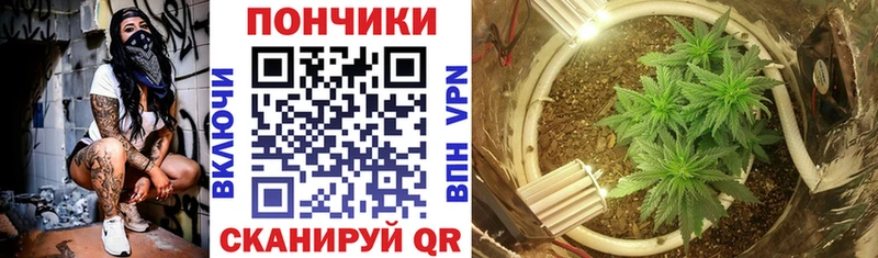 Канабис VHQ  Хотьково 